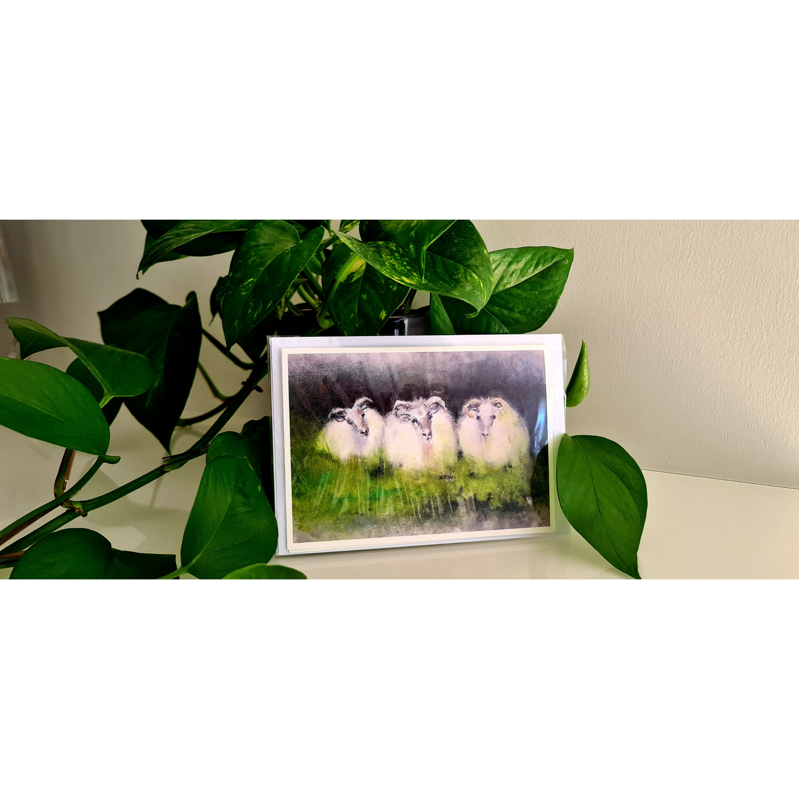 Tækifæriskort, 4 í pakka